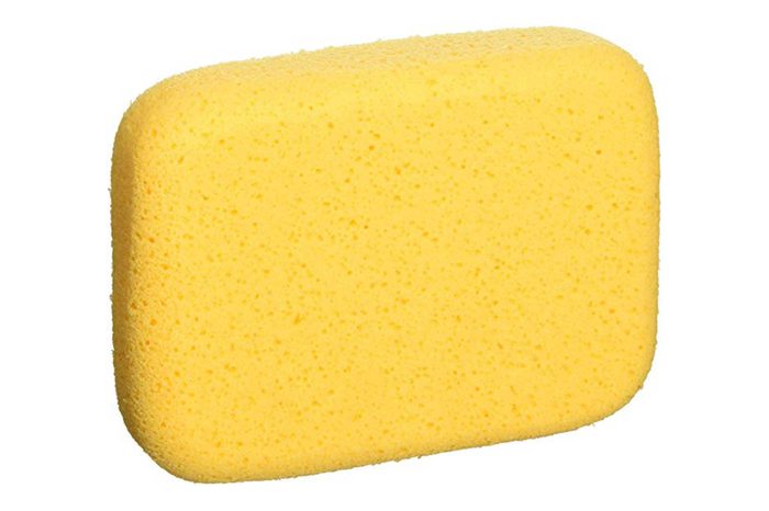 13_World's-best-sponges