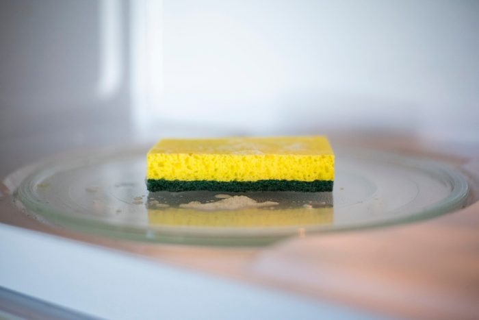 microwaving sponges