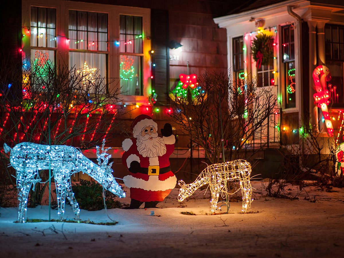Guide to Christmas lights - Front of home animal lights