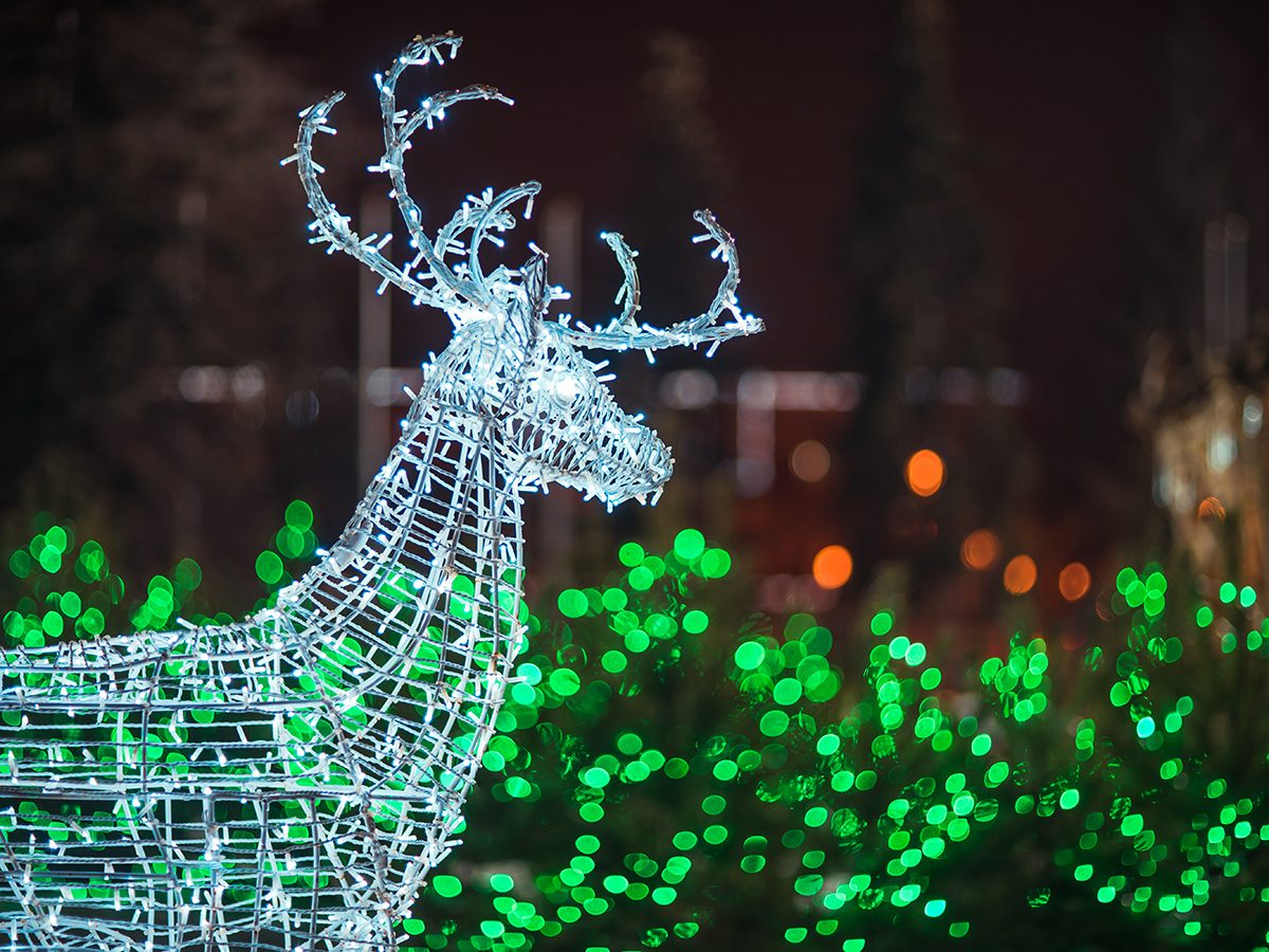 Guide to Christmas lights - Reindeer