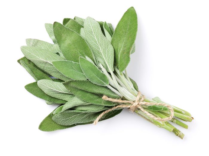 Healing herbs - bundle of sage