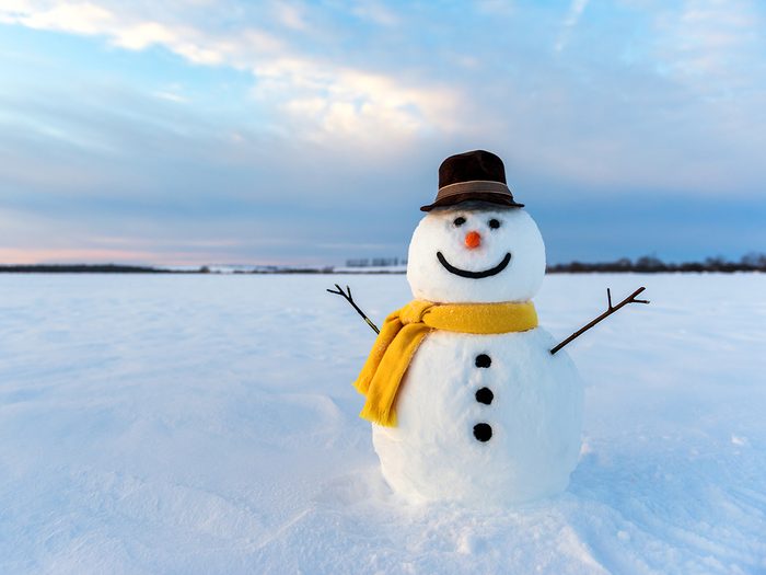 Holiday jokes - happy snowman