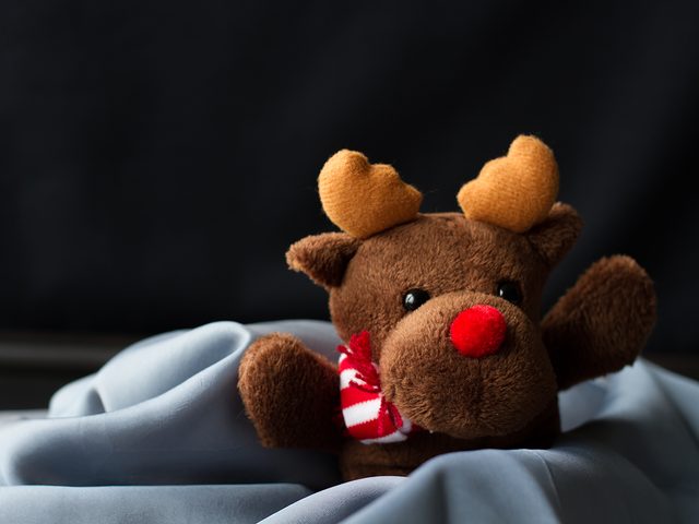 Holiday jokes - stuffed animal Rudolph the Red Nosed Reindeer