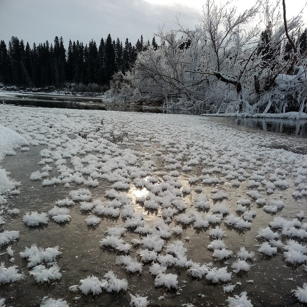 My Happy Place - Frozen Red Deer River Ice Crystals
