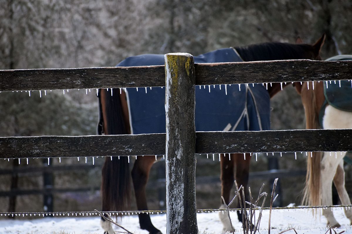 My Happy Place - Horse Stable In Winter