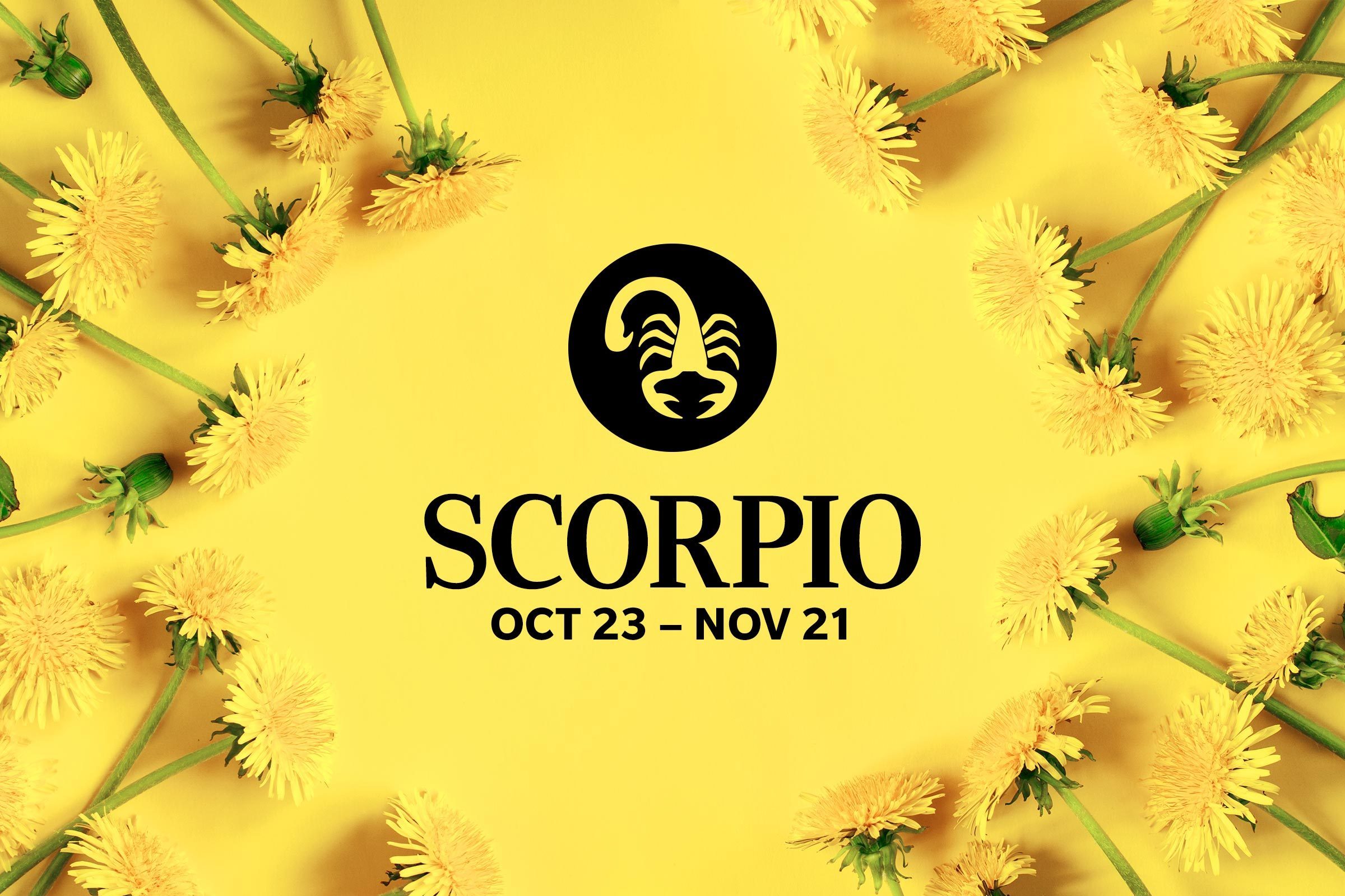 Scorpio (October 23-November 21)