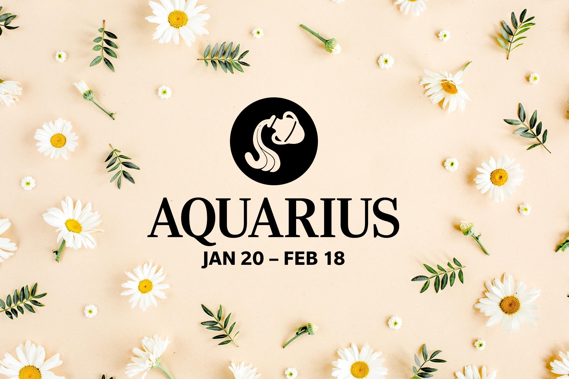 Aquarius (January 20-February 18)