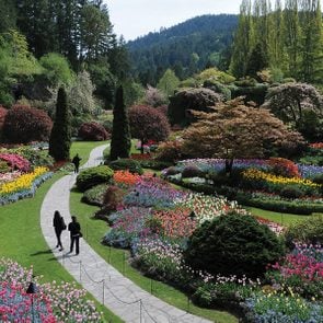 Botanical gardens across Canada - The Butchart Gardens Botanical Gardens