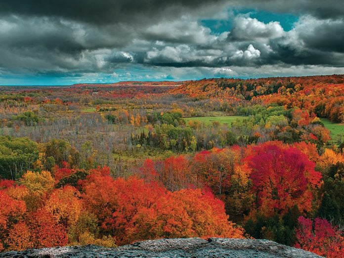Grey Bruce attractions - Skinner's Bluff scenic outlook