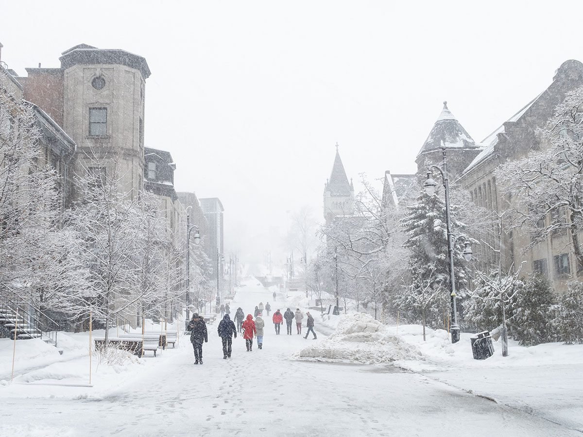 View of McTavish street in McGill university campus during snowstorm.