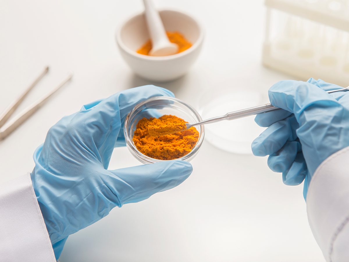 Medicine research of curcuma properties with the help of laboratory equipment, man in gloves testing turmeric powder