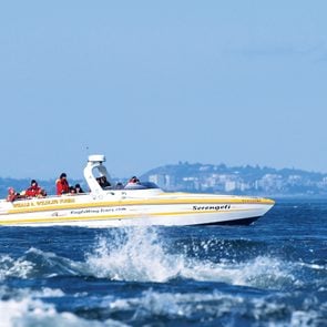 Victoria attractions - whale watching excursion