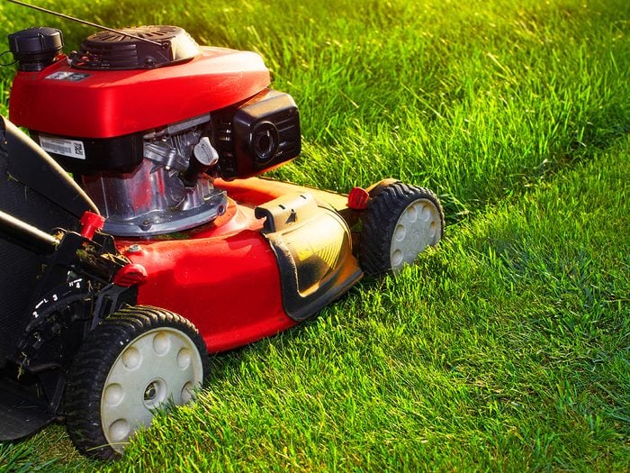 When To Start Mowing Lawn In Spring