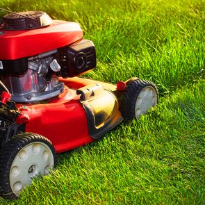 When To Start Mowing Lawn In Spring