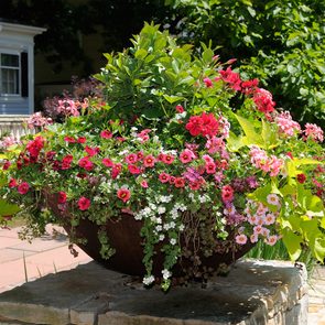 best annual flowers for pots - planter pot flowers