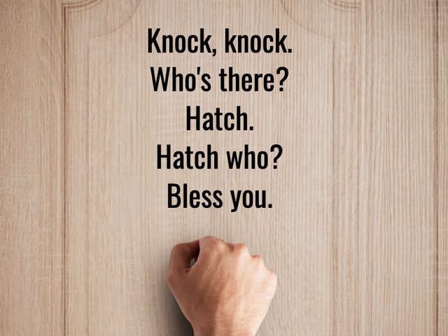 Best Knock Knock Jokes - Hatch