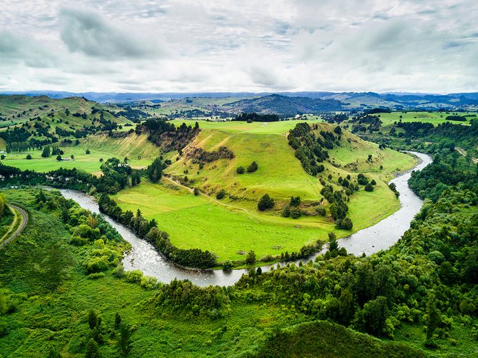 Earth Day Quiz - Whanganui River