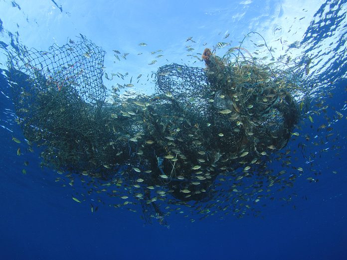 Earth Day Quiz - Overfishing