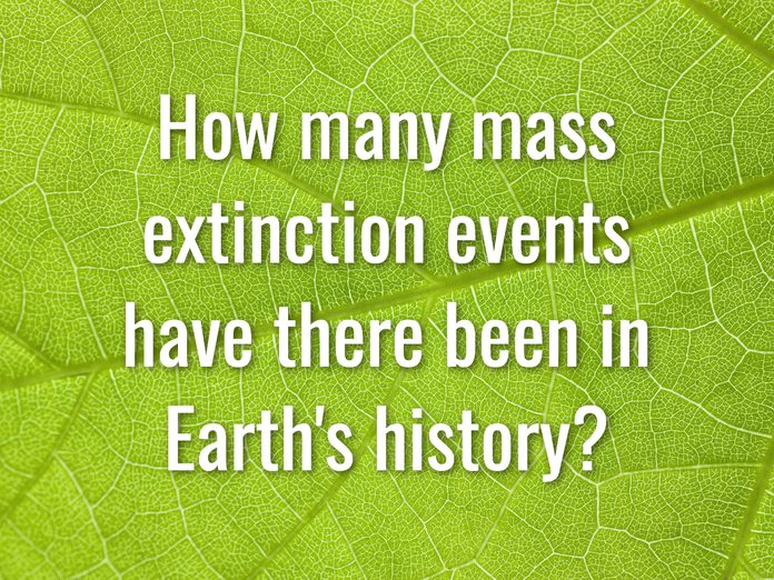 Earth Day Quiz - Question 13