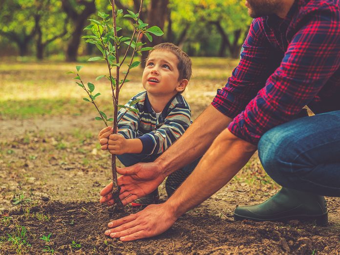 Earth Day Quiz - Tree Planting