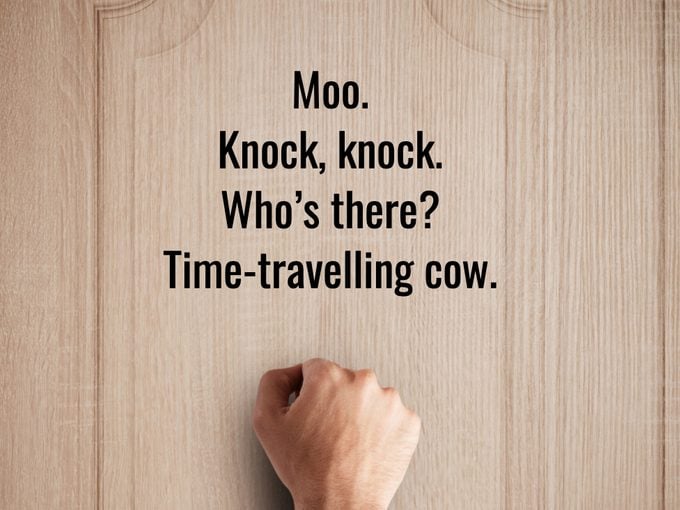 Funniest Knock Knock Joke Time Travelling Cow