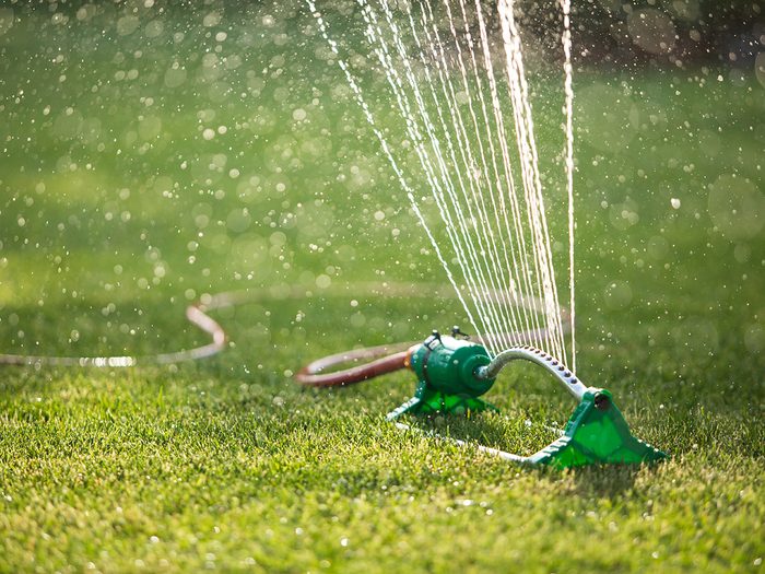 Eco-friendly lawn care - watering grass with sprinkler
