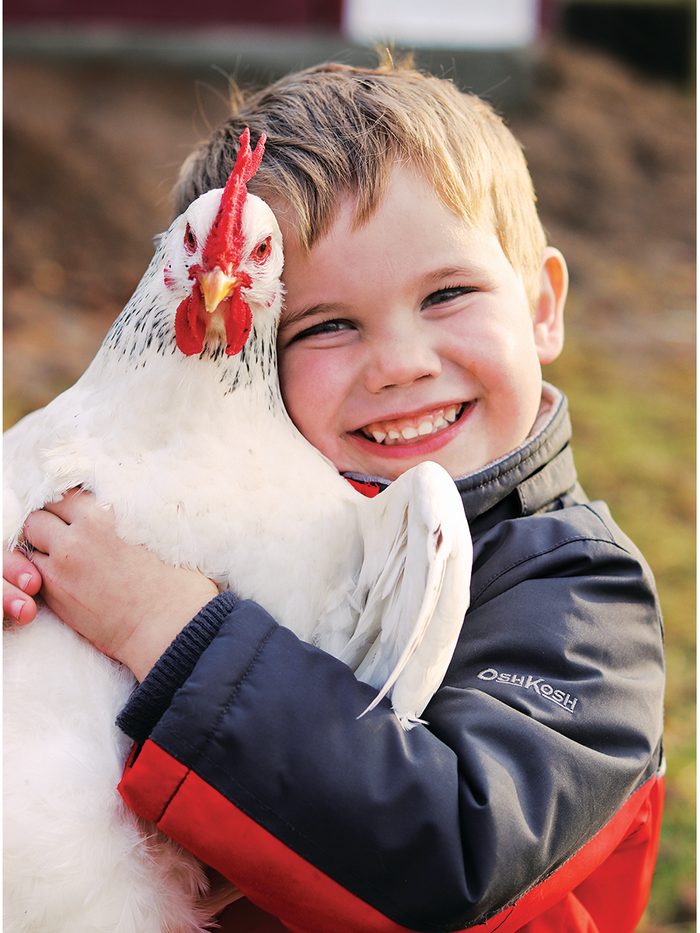 Our Canada Share Your Canada Photo Contest Chicken - Boy hugging pet chicken
