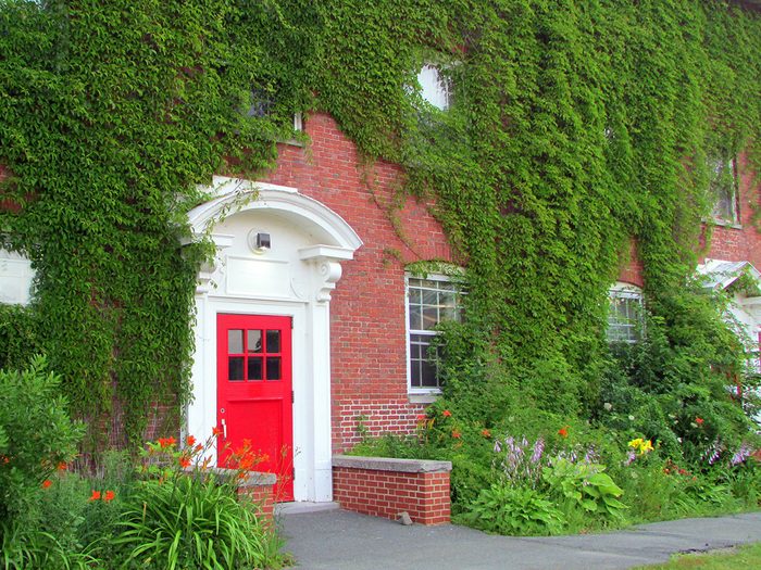 Doors across Canada - Red door in green ivy