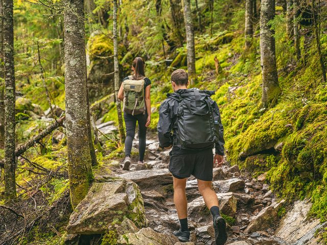 Hiking for beginners - guided hike in Quebec