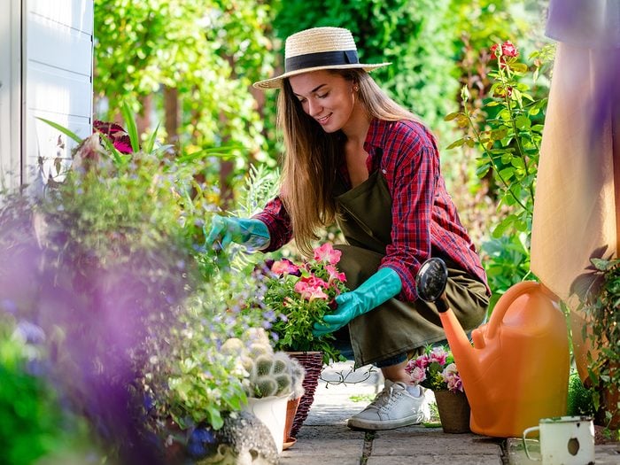 Starting a garden - Woman gardening