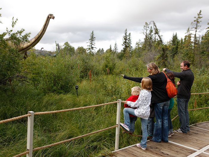 Day trips from Edmonton - Jurassic forest