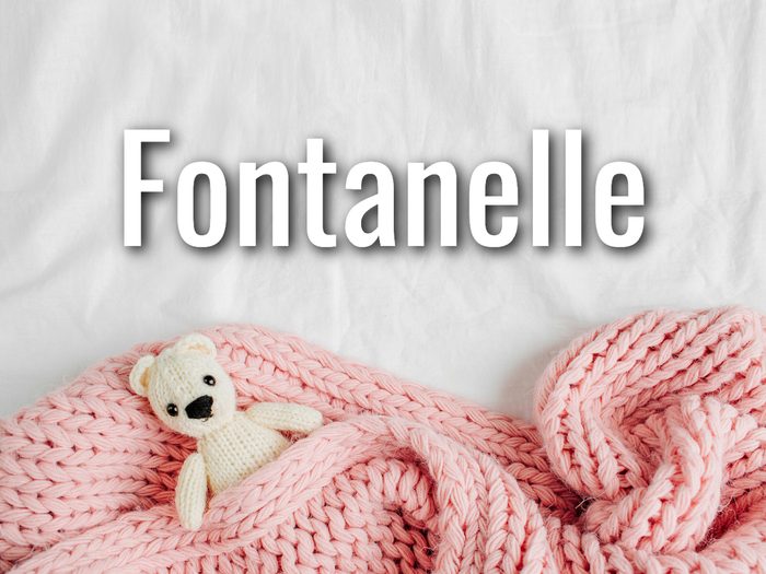 Baby Terms - Fontanelle