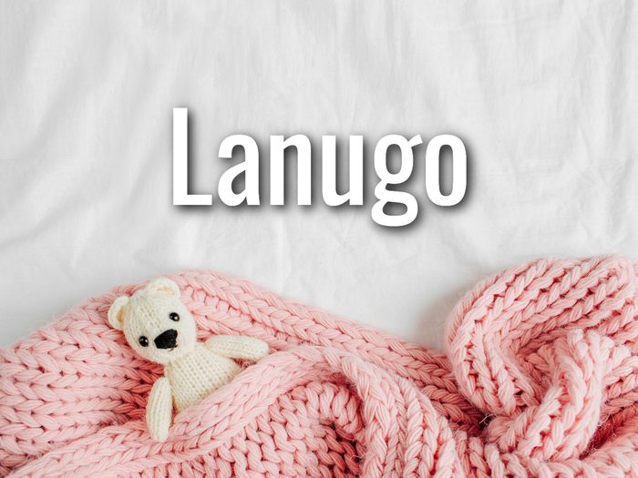 Baby Terms - Lanugo