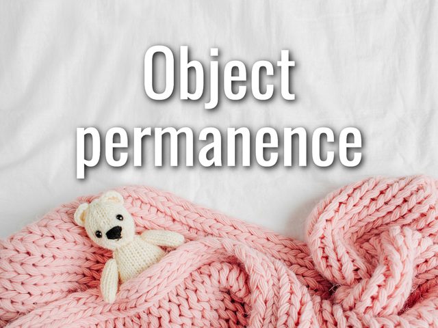 Baby Terms - Object Permanence