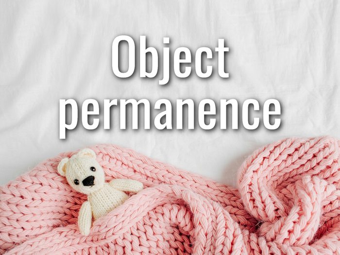 Baby Terms - Object Permanence