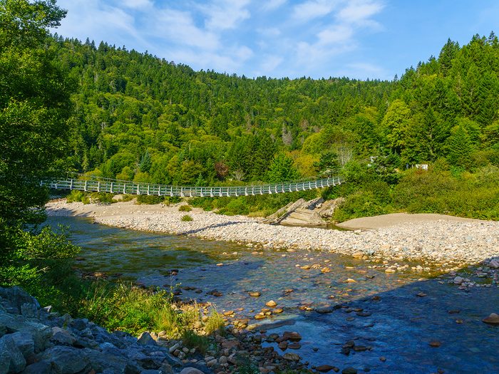 Best hiking trails in Canada - Fundy Trail suspension bridge