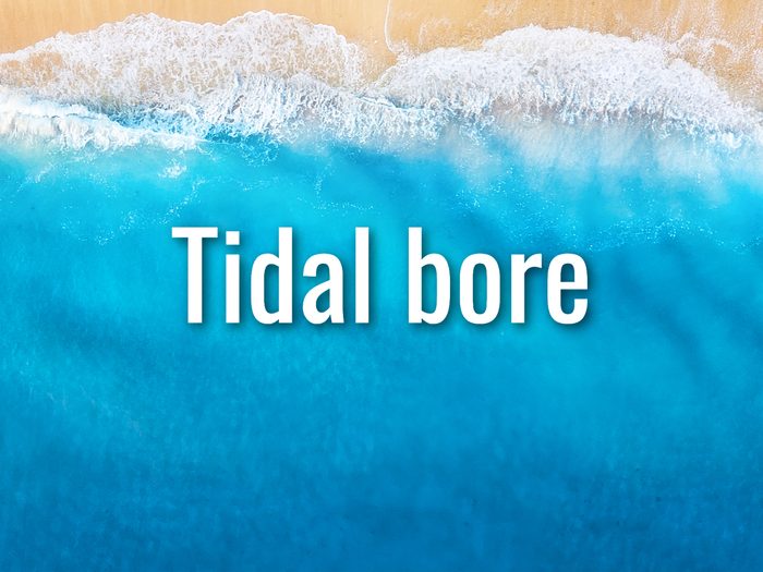 Ocean Words - Tidal Bore