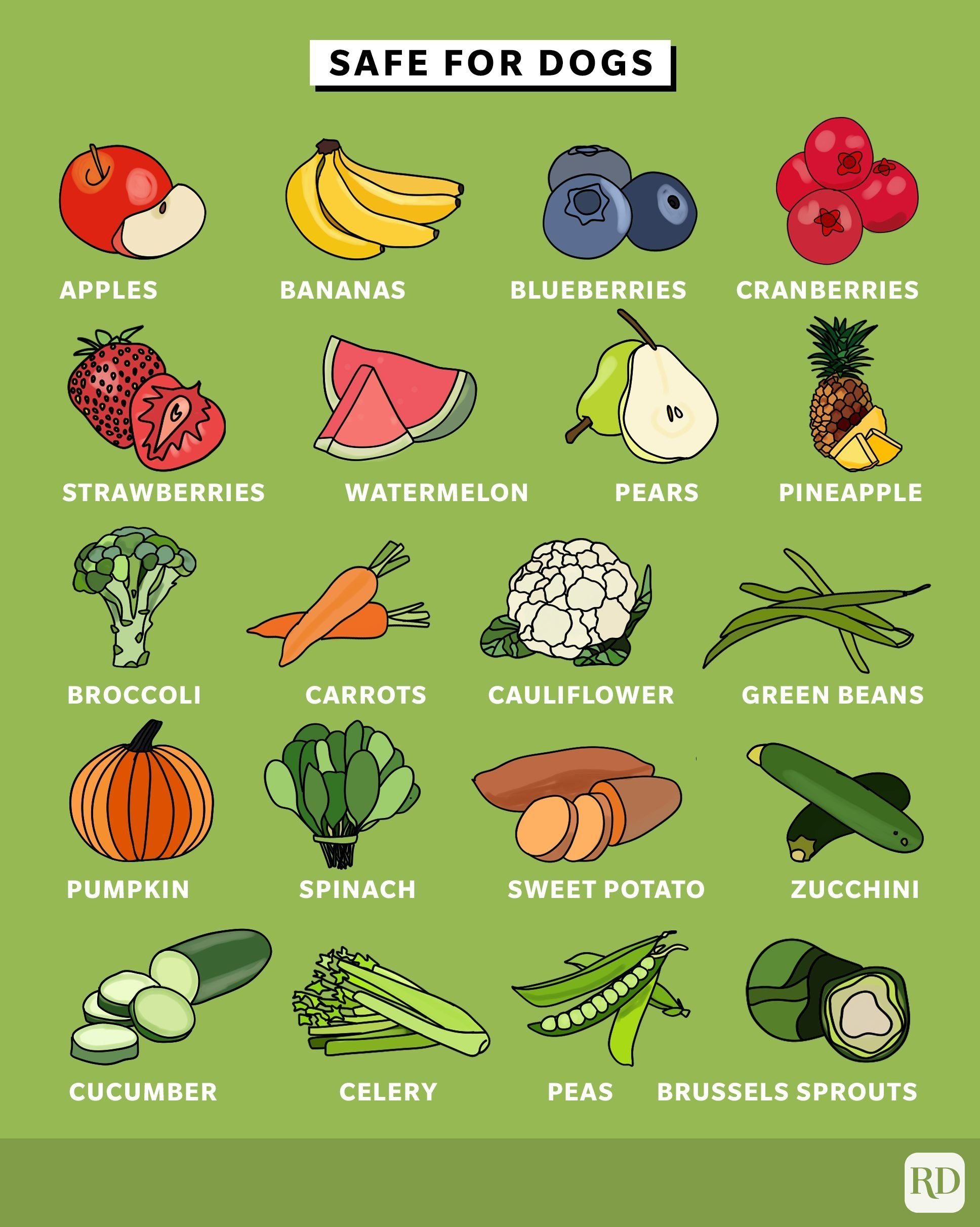 printable-list-of-fruits-and-vegetables-dogs-can-eat-printable