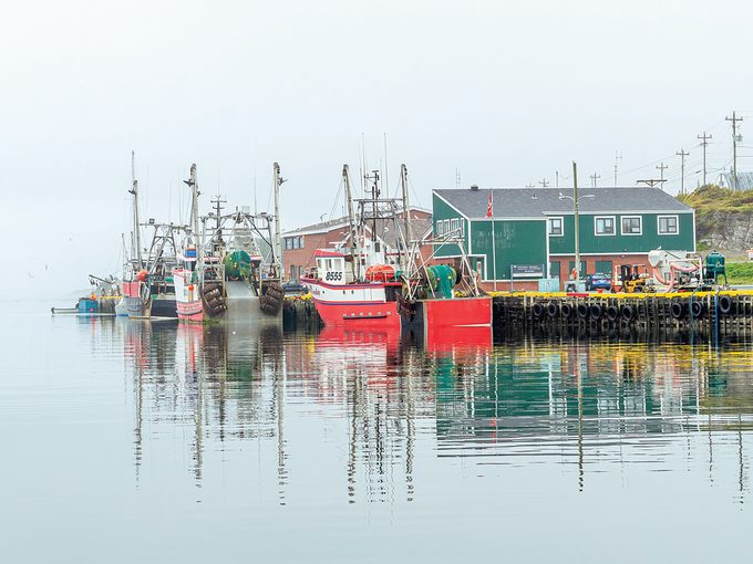 West Coast Newfoundland - Port Aux Choice
