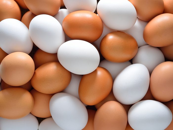 Brown eggs vs. white eggs