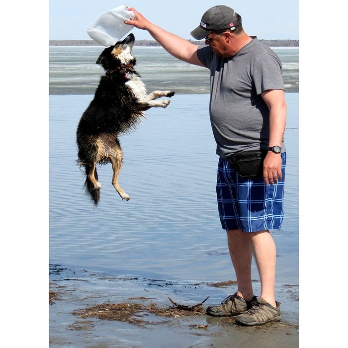 Candid photography - Dog jumping on beach