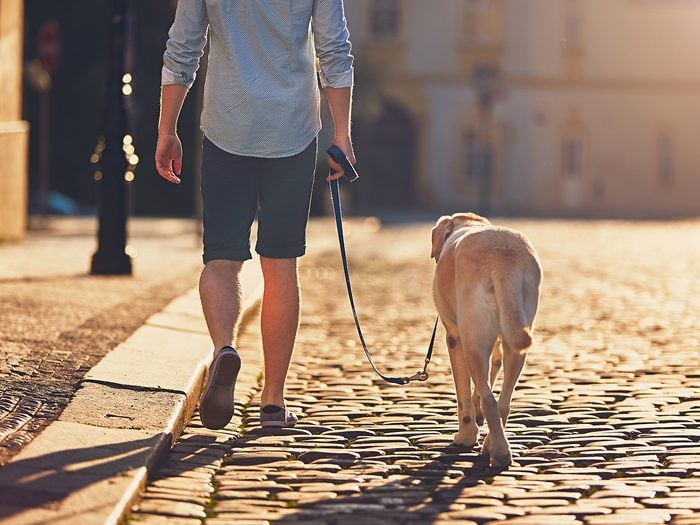 Natural remedies for high blood pressure - morning walk with dog