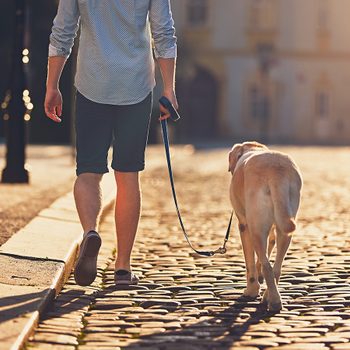 Natural remedies for high blood pressure - morning walk with dog