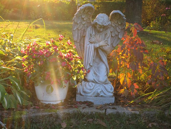 Sunset pictures - garden angel
