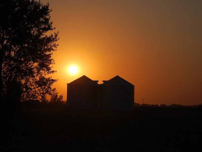 Prairie grain bins silhouette against sunset