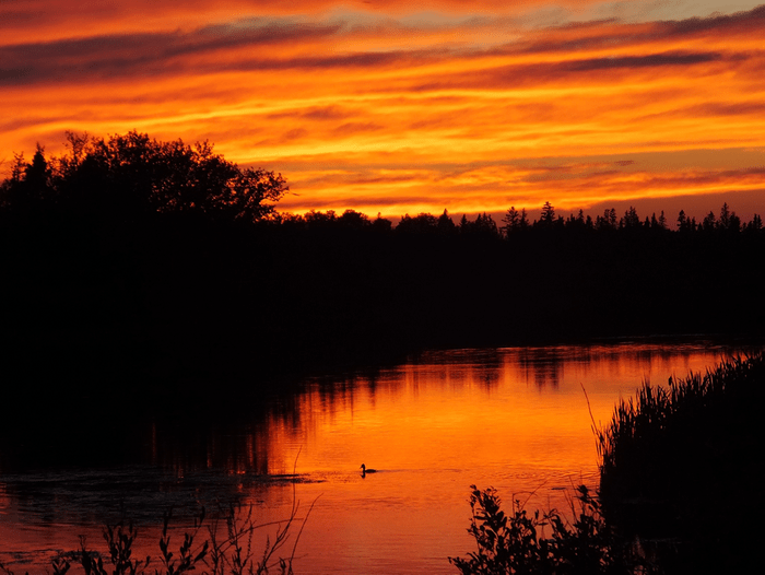 Sunset pictures - Saskatchewan river at sunset