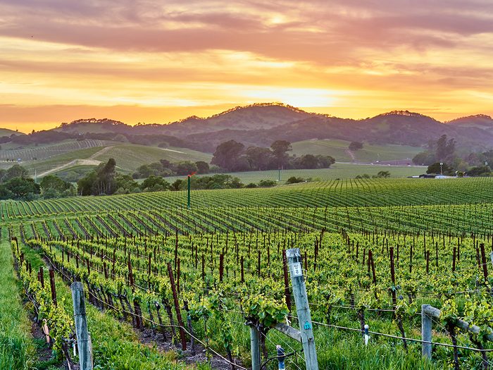 Best places for solo travel - Napa Valley California