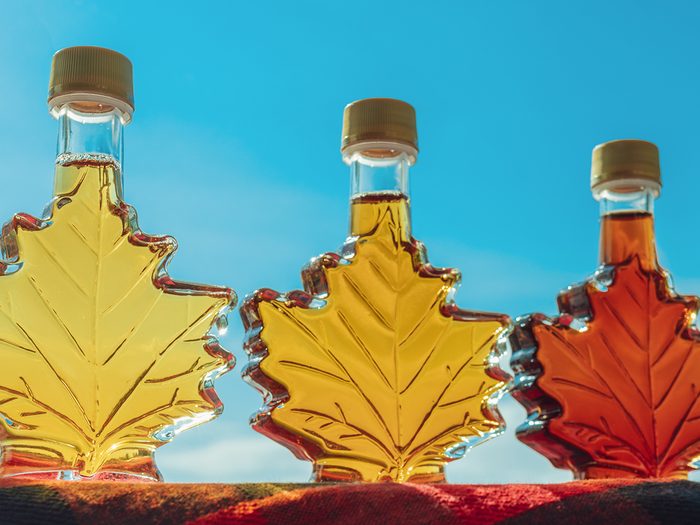 Dark vs amber maple syrup - Maple syrup bottles in leaf shape on blue banner background. Selection of different grades of quality, golden, amber, dark for tasting gift from Quebec, Canada