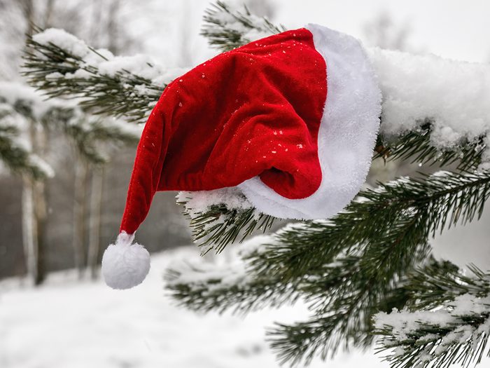 Santa hat on snowy tree