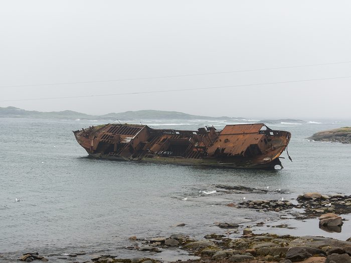 Wreck of the Bernier on shore of Saddle Island.